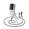 Desktop Microphone Game Recording Monitor Condenser Microphone